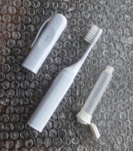 Wholesale portable pen light: Fountain Pen-type Toothbrush Portable