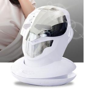 Wholesale Face Mask: LED Face Mask