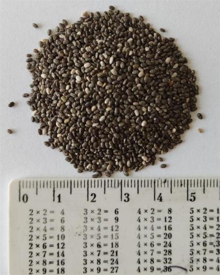 Sell Full EU ,Black Chia seeds,  99,98% purity