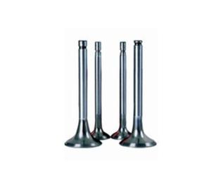 Wholesale engineering valves: Oil Engine Valve