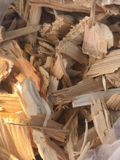 Sell of Eucalyptus and Pine wood chip CIF price