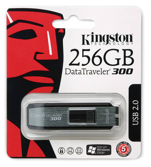 Флешка kingston 256gb. Kingston 256gb Flash. Kingston 256gb USB. Kingston USB 256. Kingston Flash  256.