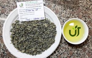 Wholesale retail tea: Vietnam Green Tea - Tea Producer - Call +84 866 511 680