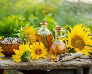 Wholesale Cooking Oil: Sunflower Oil for Sale.