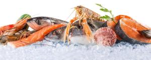Wholesale seafood: Seafoods for Sale.