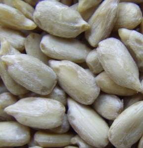 Wholesale sunflower kernels: Hulled Sunflower Kernels Bakery Grade