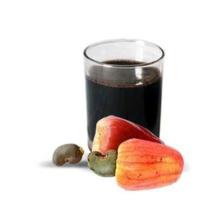 Sell vietnam cashew nut shell liquid (oil)