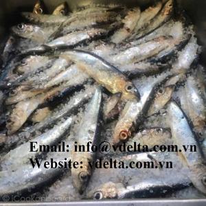 Wholesale her: Best Quality Dried/Frozen Herring Fish in Vietnam