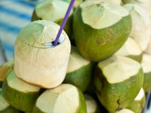 Wholesale coconut pots: Coconut Product