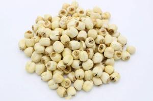 Wholesale seeds: Lotus Seeds