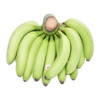 Sell Fresh banana