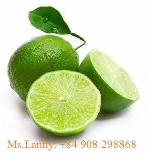 Wholesale Fresh Lemon Fresh Lemon Manufacturers Suppliers - 