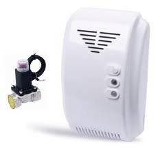 Wholesale outdoor outline light: Microprocessor Control Flammable Gas Detector with Solenoid Valve Gas Controller