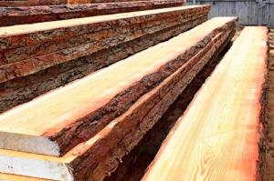 Wholesale Timber: Larch Timber