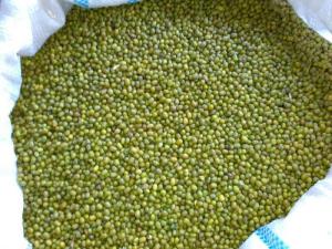 Wholesale Bean Products: Mung Beans