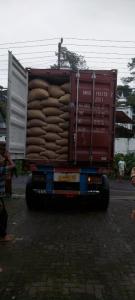 Wholesale s: Arabica and Robusta Green Bean Coffee Indonesia