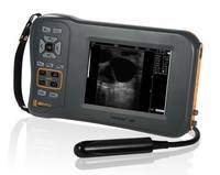 Digital Veterinary Ultrasound Scanner CE Mark for Bovine Equine and Swine