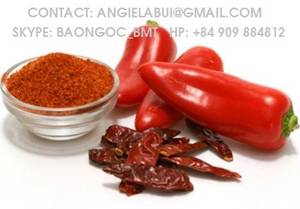 Wholesale Fresh Peppers: Chilli
