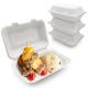 900ml 9" Refrigerator Safe Eco Friendly Biodegradable 100% Compostable Take Away Food Packaging Clam