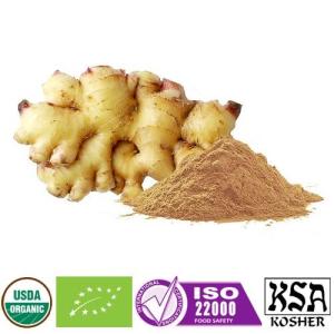Wholesale ginger powder: Organic Ginger Root Juice Powder