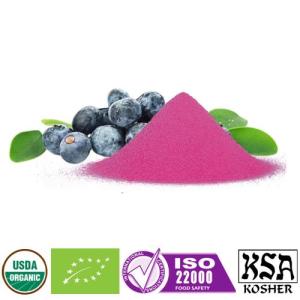 Wholesale blueberry: Organic Blueberry Juice Powder