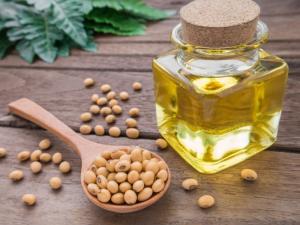 Wholesale soybean: Soybean Oil