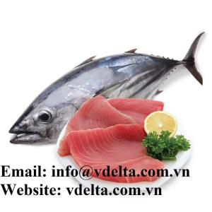 Wholesale whole frozen fish: Fast Delivery Frozen Bigeye Tuna for BBQ