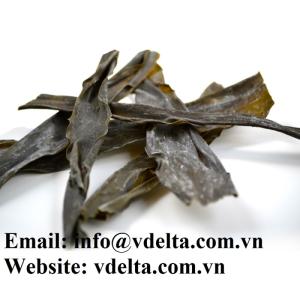 Wholesale dried kelp: Kombu/Dried Dashi Kombu Kelp/Natural Seaweed