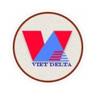 Vdelta Viet Nam Company Logo