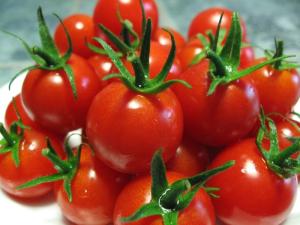Wholesale pickled tomatoes: Fresh Cherry Tomatoes