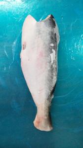 Wholesale basa: Premium Grade Pangasius HGT/ Basa Fish HGT