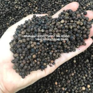 Wholesale industrial grade: Black Pepper 500-550 G/L From Vietnam Is Available in Bulk with Good Price and Good Quality