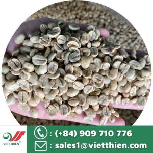 Wholesale pa: Arabica Green Coffee Beans From Vietnam- Arabica S16 Fully Washed Grade 1