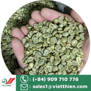 Wholesale arabica: Arabica Green Coffee Beans- Arabica S18 Full Washed New Season