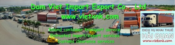 Vietnam_Customs_Declaration_Service.jpg
