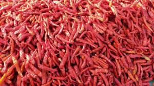 Wholesale dried chili: Dried Chili with Flavored and Spicy Chilli Powder Manufacturers