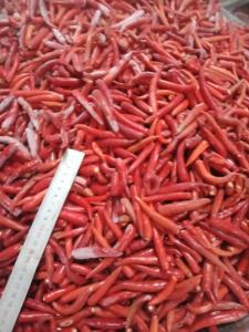 Wholesale abdominal exerciser: Frozenred Chili in Vietnam Best Price and Quality Good Direct Supplier Vietnam