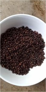 Wholesale air filters: Black Pepper Made in Vietnam Black Pepper 550g/L   Vinahugo Company