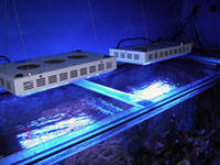 Sell led aquarium light