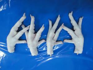 Wholesale Meat & Poultry: Fresh Frozen Chicken Paws