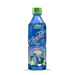 Wholesale blueberry: 16.9 FL OZ Sparkling Blueberry & Ginger Juice Drink (From Real Ingredient) Made in Vietnam Factory (