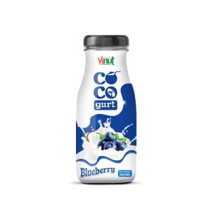 Wholesale business suits: 280ml Vinut Cocogurt with Blueberry