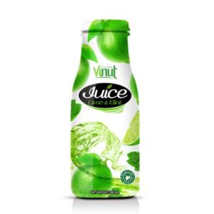 Wholesale mint coffee: 280ml Bottled Lime & Mint Juice