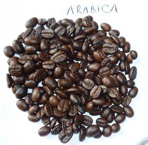 Wholesale red dot: Arabica Coffee Made in Viet Nam - High Quality
