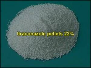 Wholesale Other Pharmaceutical Ingredients: Itraconazole Pellets