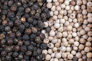 Wholesale Seasonings & Condiments: White Pepper Wholesale Usa
