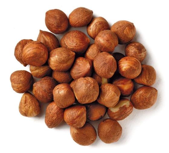 Sell Hazelnut , Roasted , Shelled, Unshelled, Organic Mountain Hazelnut