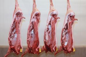 Wholesale trims: Pork Hind Hock, Frozen Pork Shoulder Boneless 4d, Frozen Pork Trimming