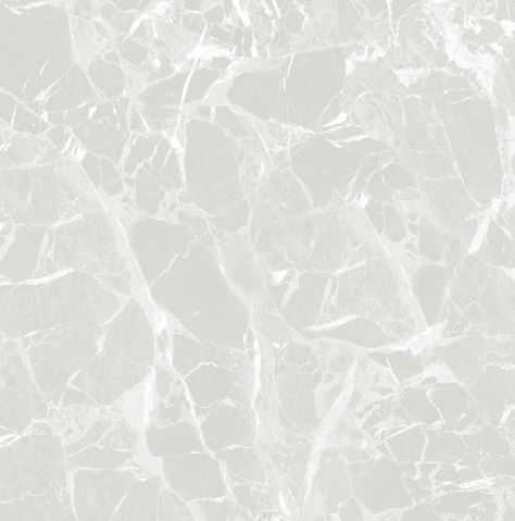 Porcelain Flooring Tiles TGB60-1509.0