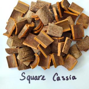 Wholesale cinnamon: Cassia Cinnamon Square Cut Cassia YB1